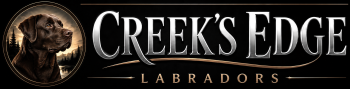 Creek's Edge Labradors