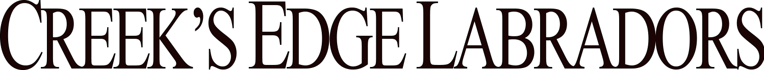 Creek's Edge Labradors